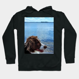 Jameson the Conqueror mini Aussie Hoodie